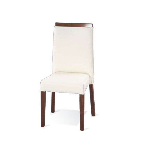 Modern chairs : Alara