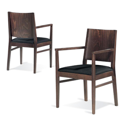 Modern chairs : Omega Arm